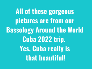 All of these gorgeous pictures are from our BATW Cuba 2022 trip. Yes, Cuba is really that beautiful!