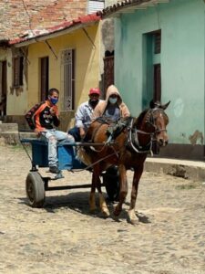 BATW Cuba horse transport