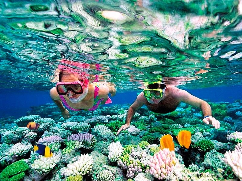 Costa Maya snorkel'